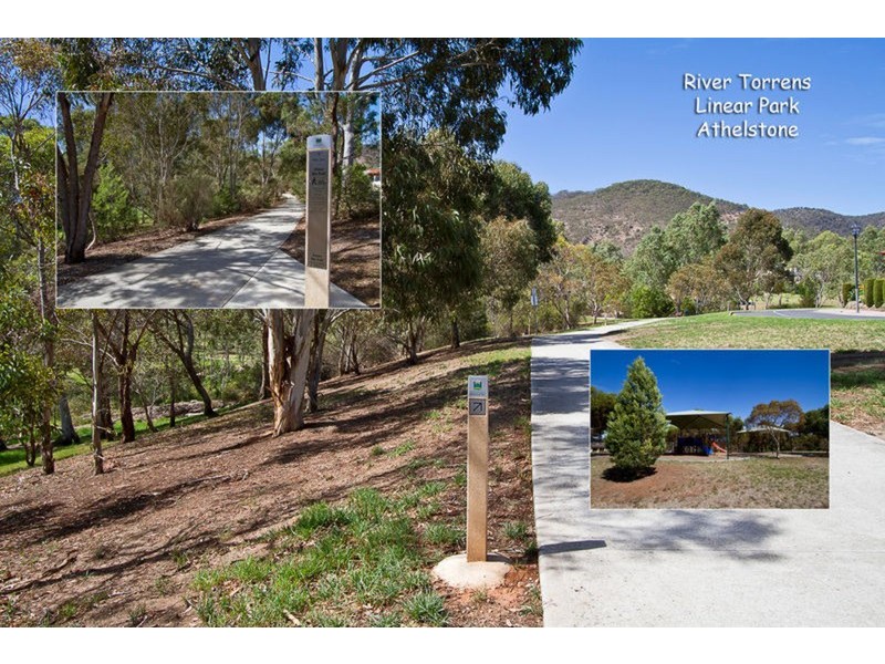 24 Bilney Drive, Athelstone SA 5076
