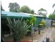 10 Penelope Avenue, Valley View SA 5093