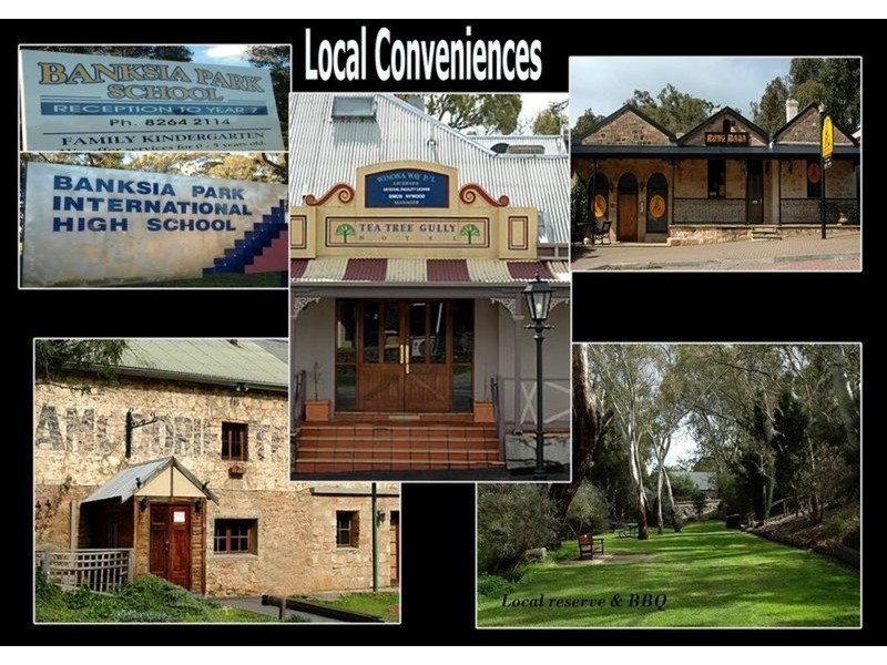 10 Cameron Court, Redwood Park SA 5097