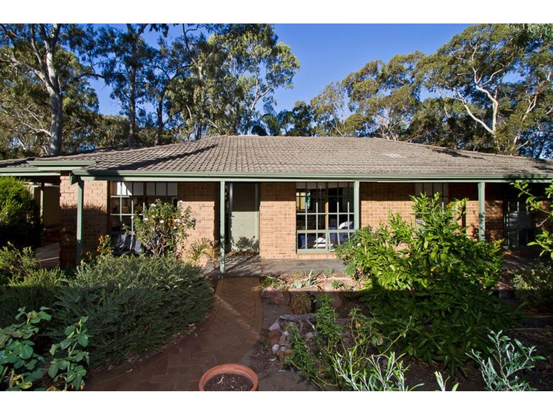 233 Hancock Road, Banksia Park SA 5091