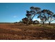 Lot 100 Dry Plains  Road, Strathalbyn SA 5255