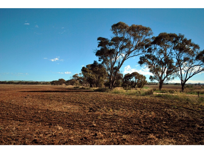 Lot 100 Dry Plains  Road, Strathalbyn SA 5255