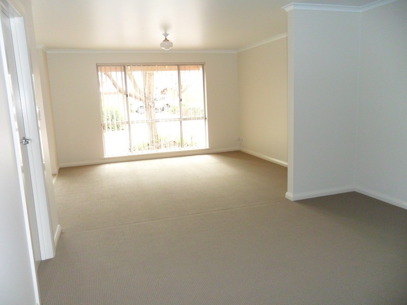 2/3 Boothby Court, Unley SA 5061