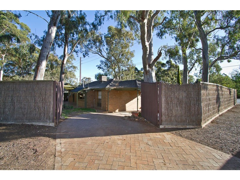 233 Hancock Road, Banksia Park SA 5091