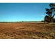 Lot 100 Dry Plains Road, Strathalbyn SA 5255