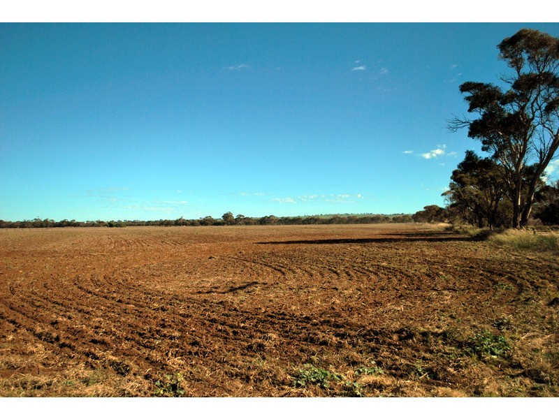 Lot 100 Dry Plains Road, Strathalbyn SA 5255