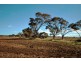 Lot 100 Dry Plains Road, Strathalbyn SA 5255
