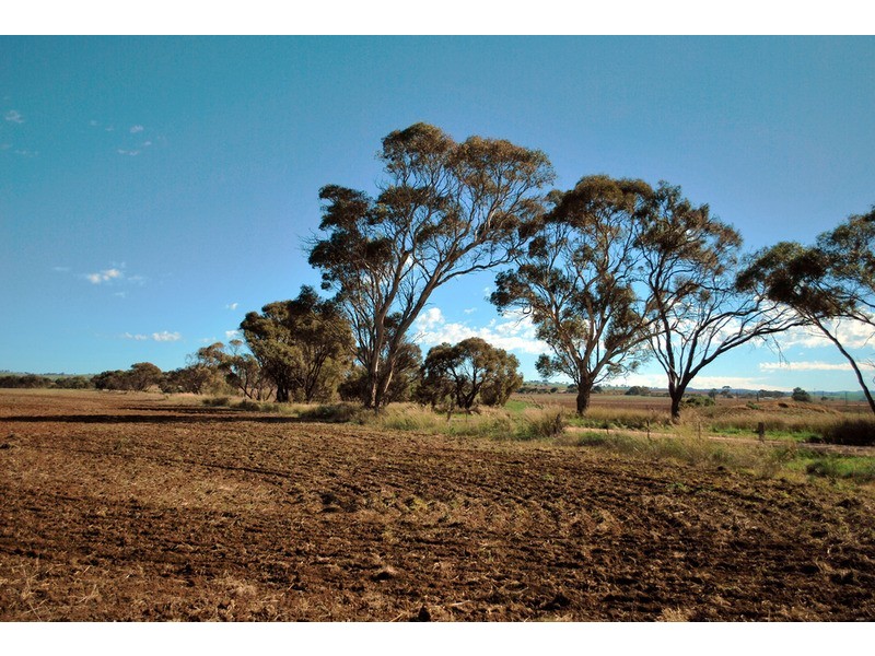 Lot 100 Dry Plains Road, Strathalbyn SA 5255