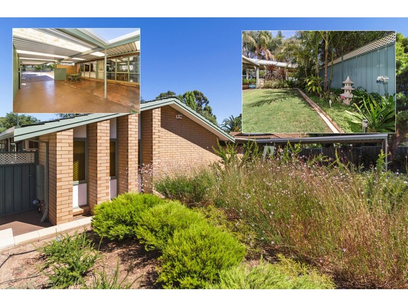 16 Roebling Street, Modbury Heights SA 5092