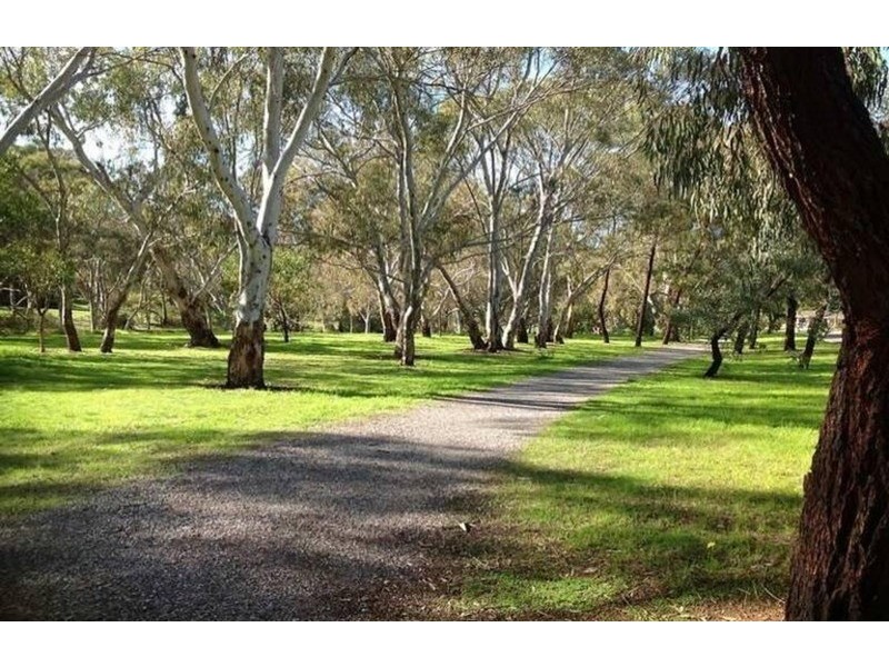 29 Bayvue Crescent, Ridgehaven SA 5097