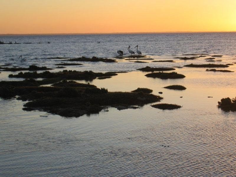 9 Foreshore Road, Hardwicke Bay SA 5575