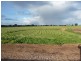 Lot 4 West Street, Edithburgh SA 5583