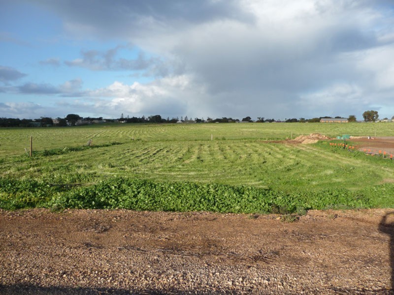 Lot 4 West Street, Edithburgh SA 5583