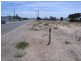 Lot 20 Macfarlane Street, Yorketown SA 5576