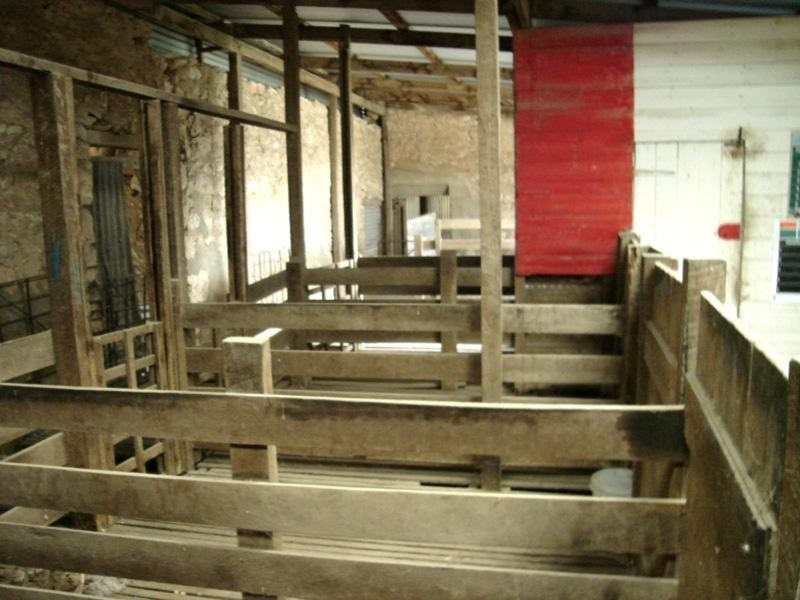 “Illabunda” – Urania District, Urania SA 5573