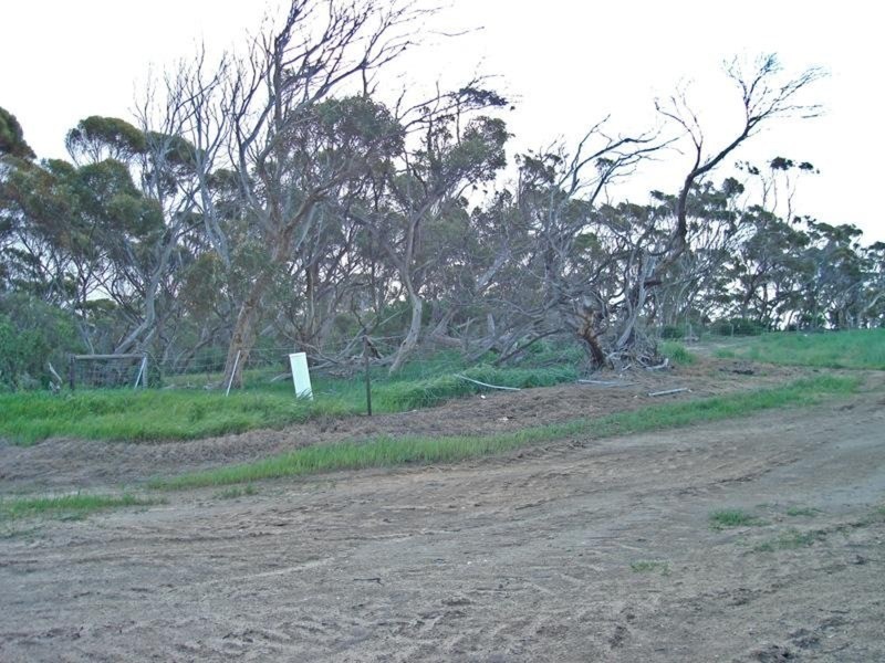 “Illabunda” – Urania District, Urania SA 5573