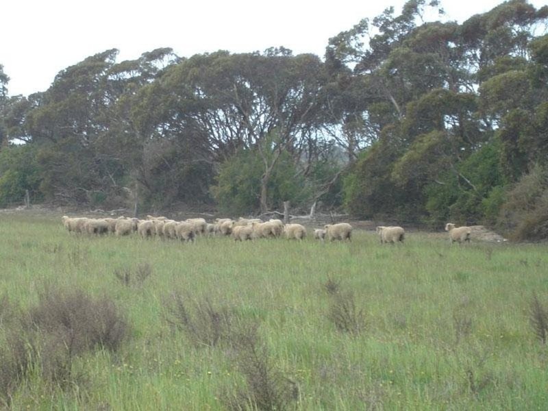 Section 232 Hundred Of Minlacowie, Minlaton SA 5575