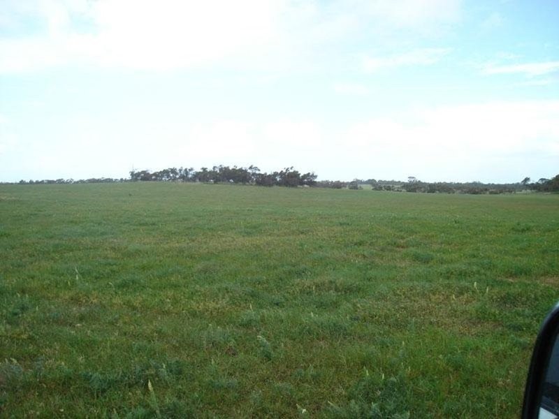 Section 232 Hundred Of Minlacowie, Minlaton SA 5575