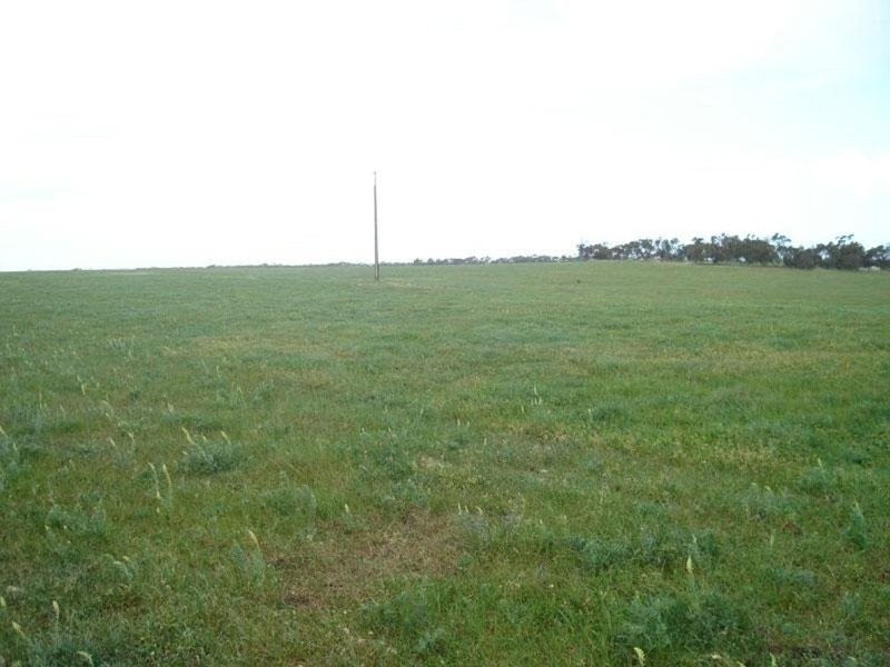 Section 232 Hundred Of Minlacowie, Minlaton SA 5575