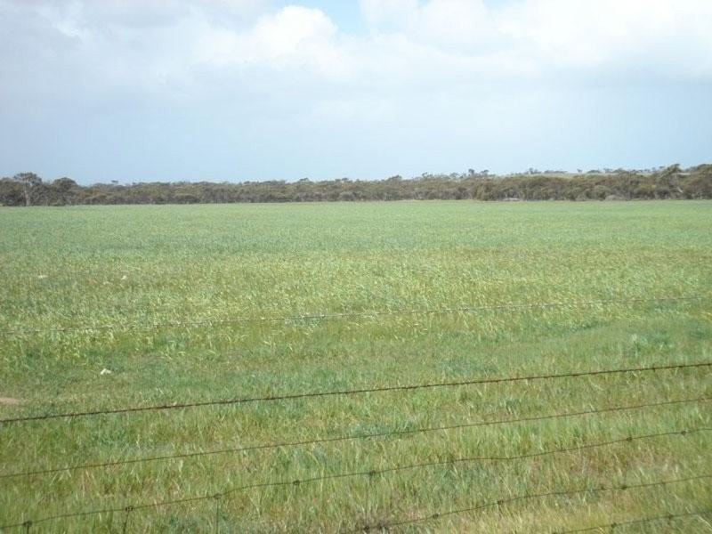 Section 232 Hundred Of Minlacowie, Minlaton SA 5575