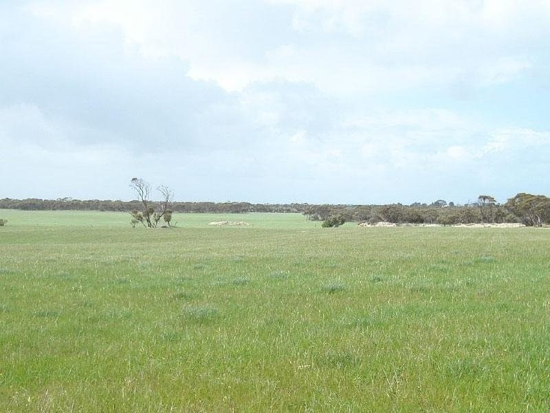 Section 232 Hundred Of Minlacowie, Minlaton SA 5575