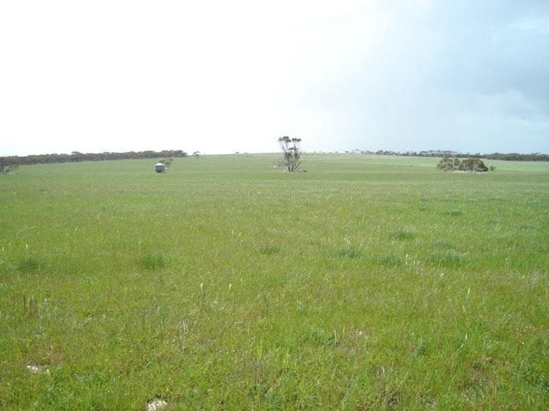 Section 232 Hundred Of Minlacowie, Minlaton SA 5575