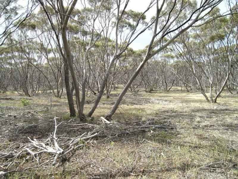 Section 232 Hundred Of Minlacowie, Minlaton SA 5575