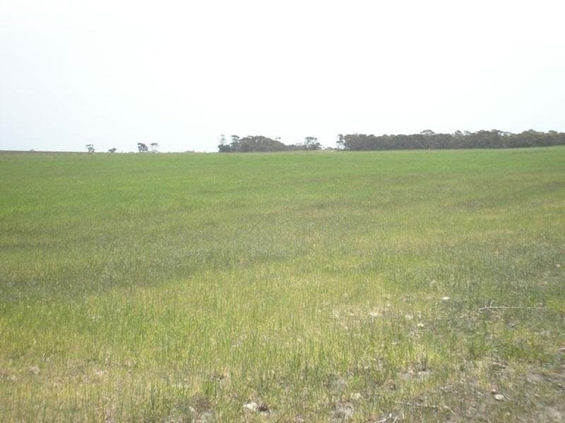 Section 232 Hundred Of Minlacowie, Minlaton SA 5575