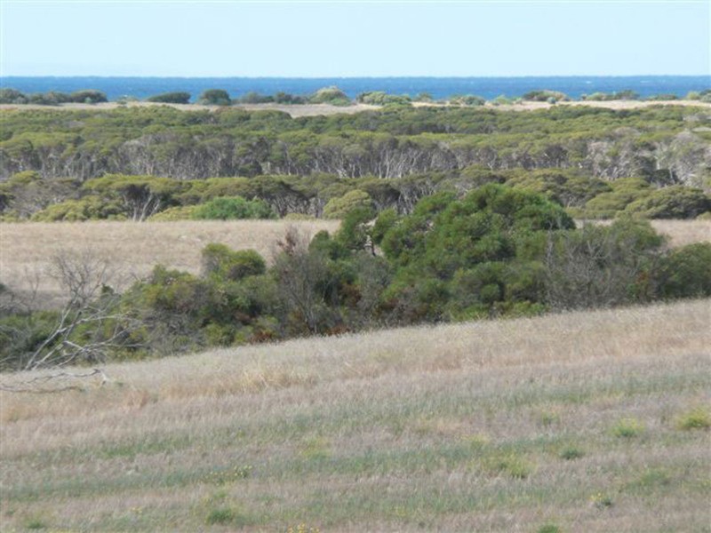Lot 3 Southcoast Road Sturt Bay Via, Warooka SA 5577