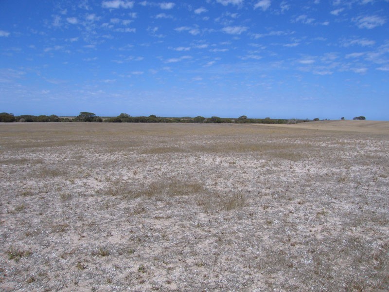 Lot 3 Southcoast Road Sturt Bay Via, Warooka SA 5577