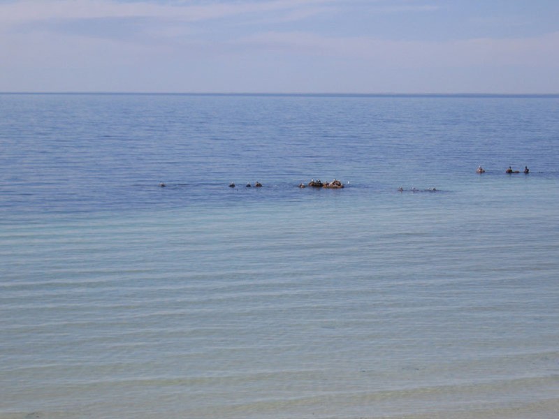 Sec 339 North Coast Road, Point Souttar SA 5575