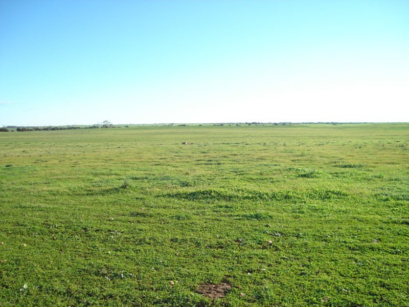 Sec 332 Bridge Road, Coobowie SA 5583