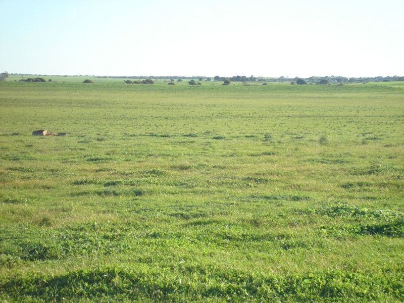 Sec 332 Bridge Road, Coobowie SA 5583