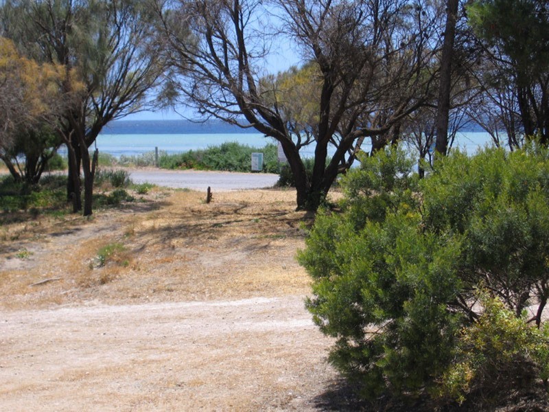 8 Sheoak Road, The Pines SA 5575
