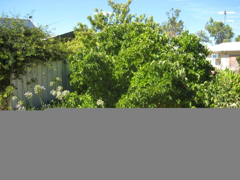 2 Penhale Street, Warooka SA 5577