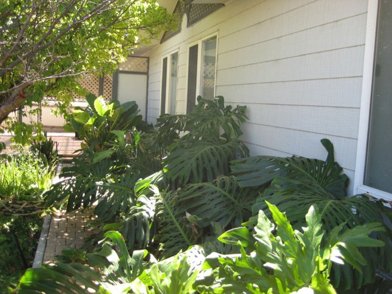 2 Penhale Street, Warooka SA 5577