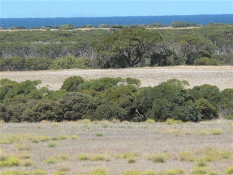 Lot 4 South Coast Road Sturt Bay Via, Warooka SA 5577