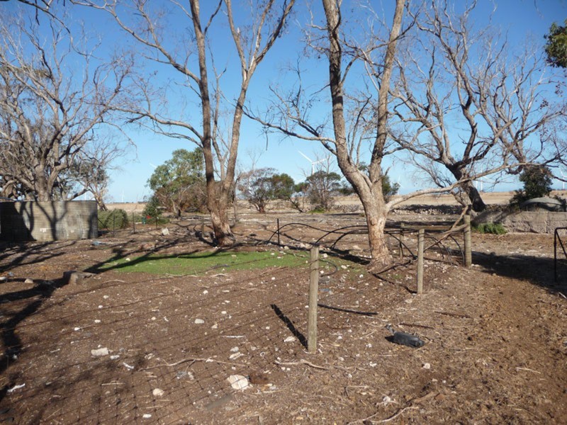 Lot 51 Goldsmith Beach Road, Edithburgh SA 5583