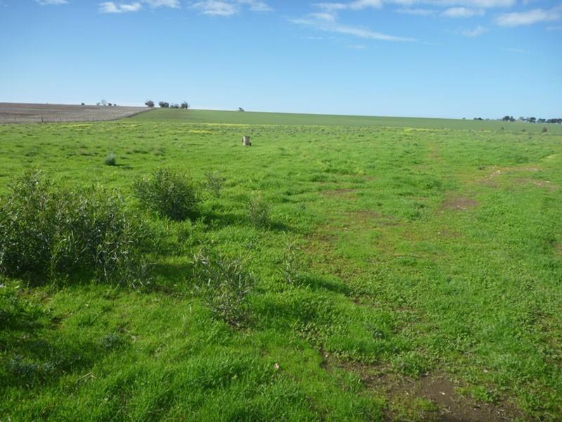 Lot 4 Edithburgh Road, Yorketown SA 5576