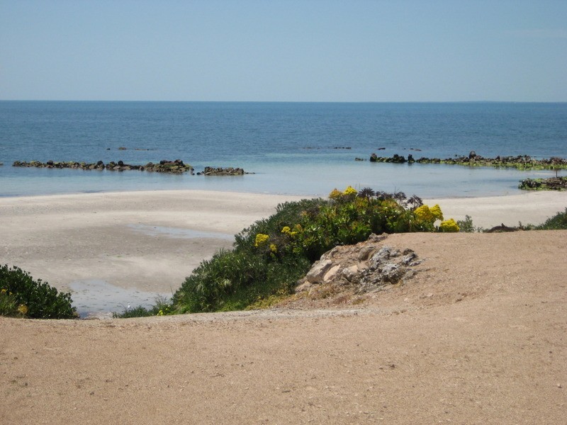 343 North Coast Road S.y.p., Point Souttar SA 5575