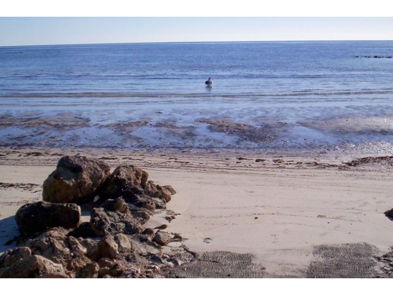 343 North Coast Road S.y.p., Point Souttar SA 5575