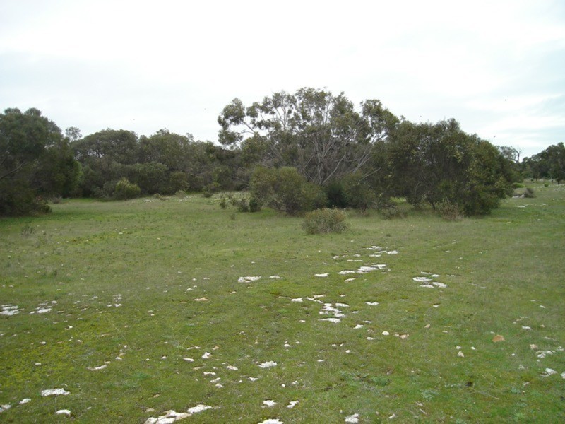 Lot 1 Hd Coonarie, Warooka SA 5577