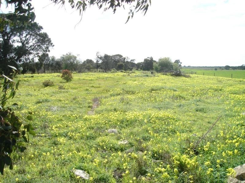 Lot 5 Minlaton – Yorketown Road, Yorketown SA 5576