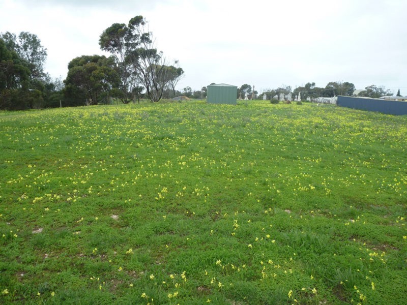 Lot 9 Melville Street, Yorketown SA 5576