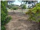 Lot 52 Victoria Street, Yorketown SA 5576