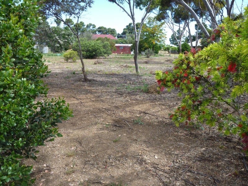Lot 52 Victoria Street, Yorketown SA 5576