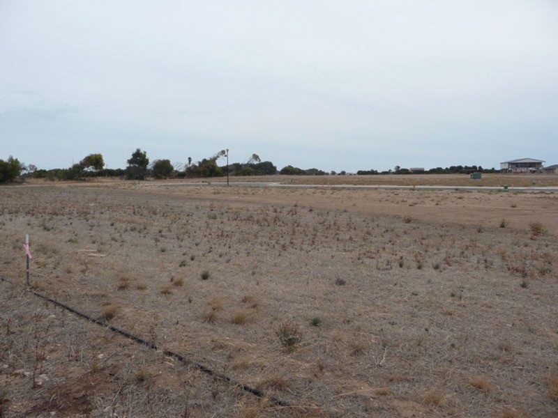 Lots 50 – 87 Sultana Point Road, Edithburgh SA 5583