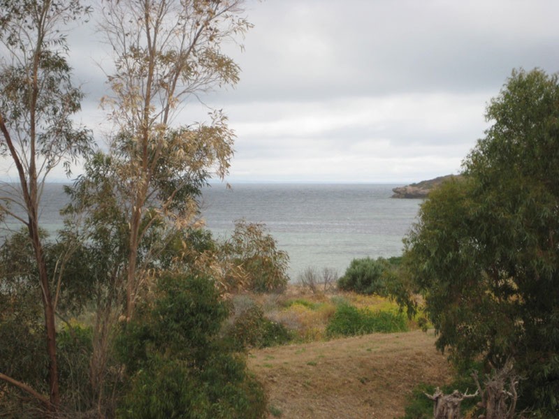 60 Slow Street, Marion Bay SA 5575