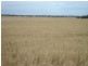 Lot 120 South Coast Road, Warooka SA 5577