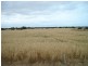 Lot 120 South Coast Road, Warooka SA 5577